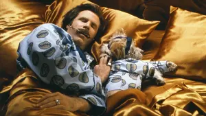 Задник к фильму "Телеведущий" #488864