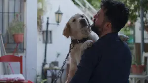 Задник к фильму "" #564394