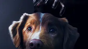 Задник к фильму "Хороший мальчик" #517172