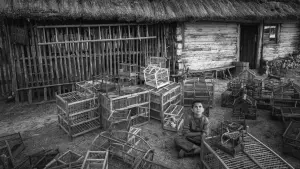 Задник к фильму "Раскрашенная птица" #371978