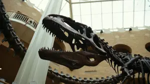 Задник к фильму "Бугония" #511982