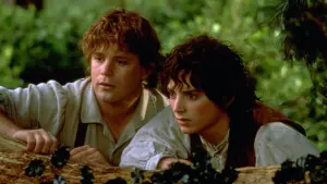 Задник к фильму "Властелин колец: Братство кольца" #165866