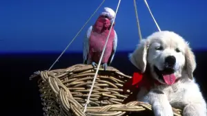 Задник к фильму "" #646956