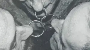 Задник к фильму "A Body to Live In" #771466