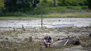 Задник к фильму "" #477132