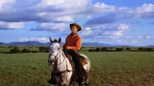 Задник к фильму "Оклахома!" #358345