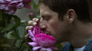 Задник к фильму "Нравиться, любить и быстро бегать" #439517