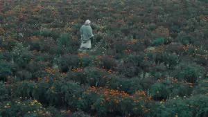 Задник к фильму "खाल बछड़ा" #777999