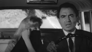 Задник к фильму "Лолита" #673081