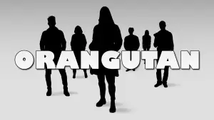 Задник к фильму "Orangutan" #704898