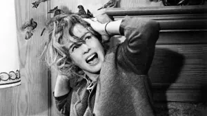 Задник к фильму "Птицы" #209987