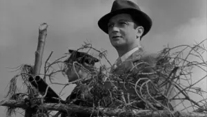 Задник к фильму "Правила игры" #207155