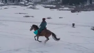 Задник к фильму "" #458696