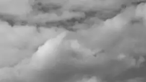 Задник к фильму "" #558087