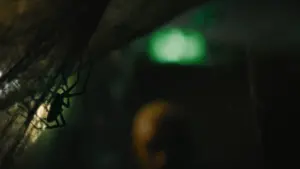 Задник к фильму "Паутина страха" #190654