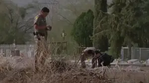 Задник к фильму "" #738079