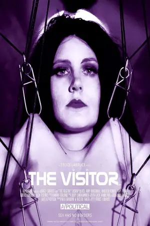 Постер к фильму "The Visitor" #756940
