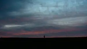 Задник к фильму "The Human Hibernation" #757296