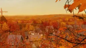 Задник к фильму "Дом монстр" #701320