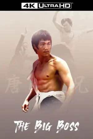 Постер к фильму "Большой босс" #726743