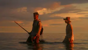 Задник к фильму "Джунгли. Райский переполох" #387657