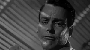 Задник к фильму "Вторжение похитителей тел" #213551