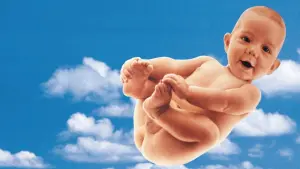 Задник к фильму "Мир по Гарпу" #395840