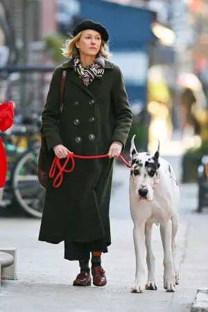 Постер к фильму "Верный друг" #589132