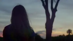 Задник к фильму "Проект «Флорида»" #709857