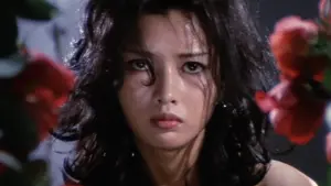 Задник к фильму "Школа священного зверя" #446474