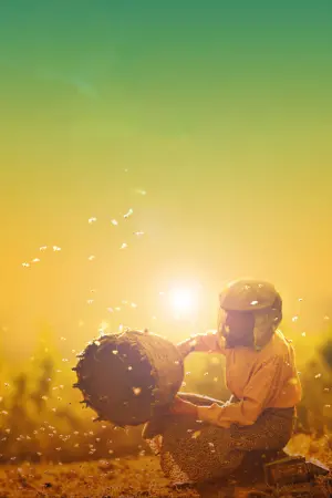 Страна меда