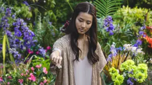 Задник к фильму "Хижина" #211309