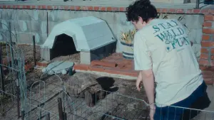 Задник к фильму "" #367217