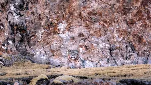 Задник к фильму "" #390748