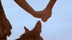 Задник к фильму "У холмов есть глаза" #721887