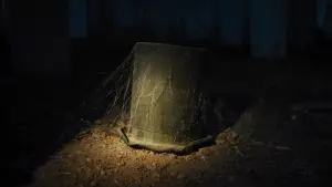 Задник к фильму "Особняк с привидениями" #685750