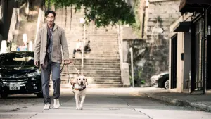 Задник к фильму "" #495347