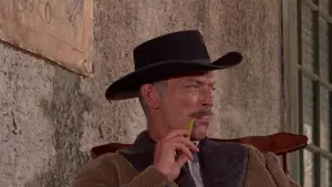 Задник к фильму "Дни ярости" #358712