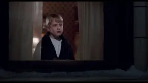 Задник к фильму "Один дома 2: Затерянный в Нью-Йорке" #567042