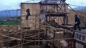 Задник к фильму "Проект А: Часть 2" #342323