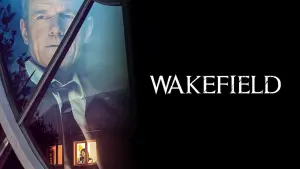 Задник к фильму "Во всем виноват енот" #302094