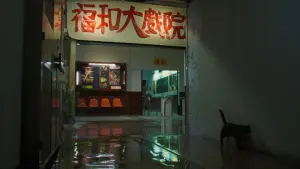 Задник к фильму "Прибежище дракона" #418922