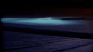 Задник к фильму "Туман" #711335