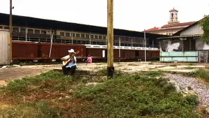 Задник к фильму "Клуб Буена Виста" #441174