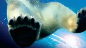 Видео к фильму Земля | Earth- Official Movie Trailer (watch in HD!)