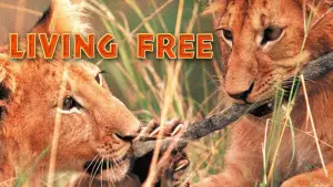 Живущие свободными