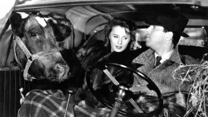 Задник к фильму "Запомни ночь" #448562