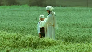 Задник к фильму "" #538867