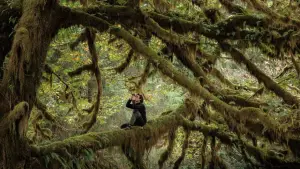 Задник к фильму "" #534612