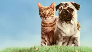 Задник к фильму "Приключения Майло и Отиса" #409200